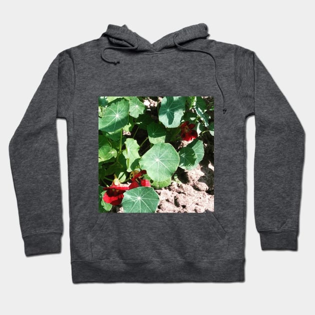 Nasturtium Empress of India Hoodie by Hajarsdeco